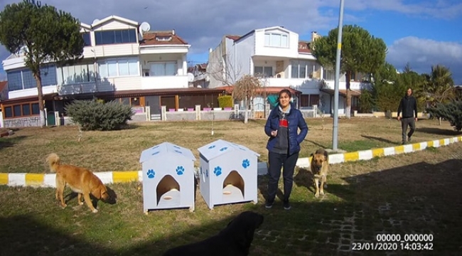 Kırklareli Mondi'den Silivri Veteriner Müdürlüğüne Kulübe Bağışı