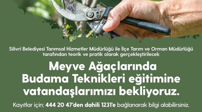 Meyve Ağaçlarında Budama Teknikleri Eğitimi Verilecek!