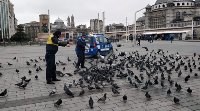 İstanbul'un Can Dostları Zabıtaya Emanet