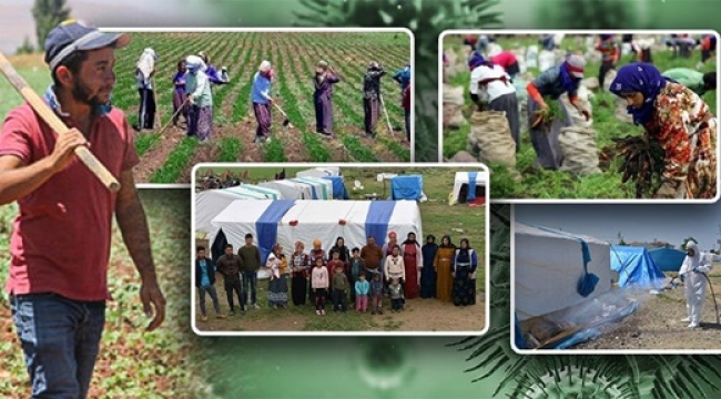 Tarım İşçilerine Koronavirüs Tedbiri