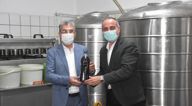 Gemlikli zeytin üreticisine de İBB'den destek