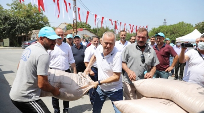 Kurfallı'da Üreticiler Tohumluk Arpa Sevinci Yaşadı