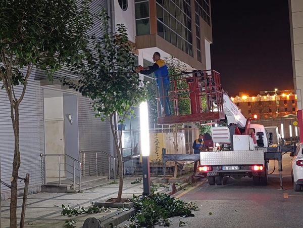 Silivri Belediyesi Ağaç Budama Çalışmalarına Devam Ediyor