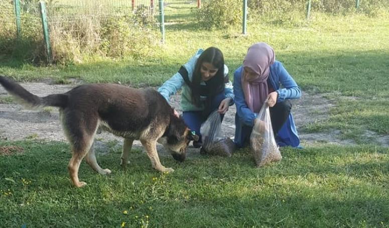 Asenalar sokak hayvanları için seferber!