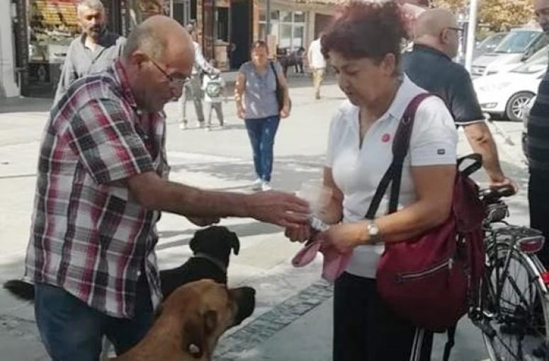 İYİ Parti, Sokak Hayvanları İçin Mama Dağıtıyor