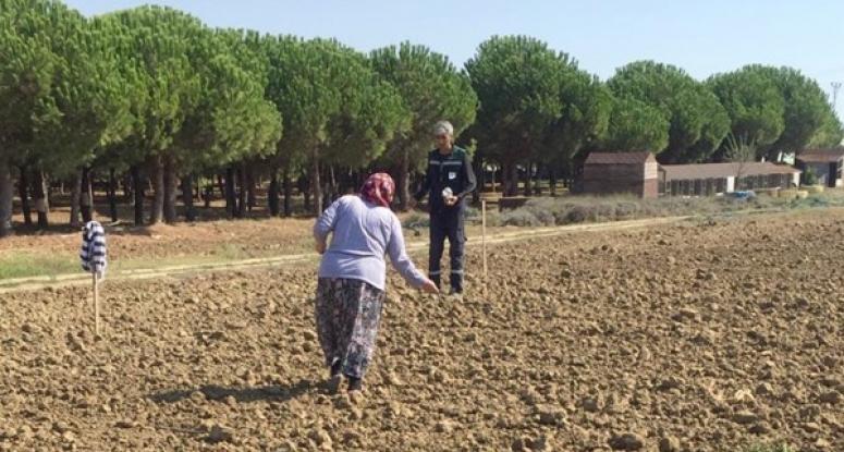 TÜRAM'da Kışlık Fide Ekimi Başladı